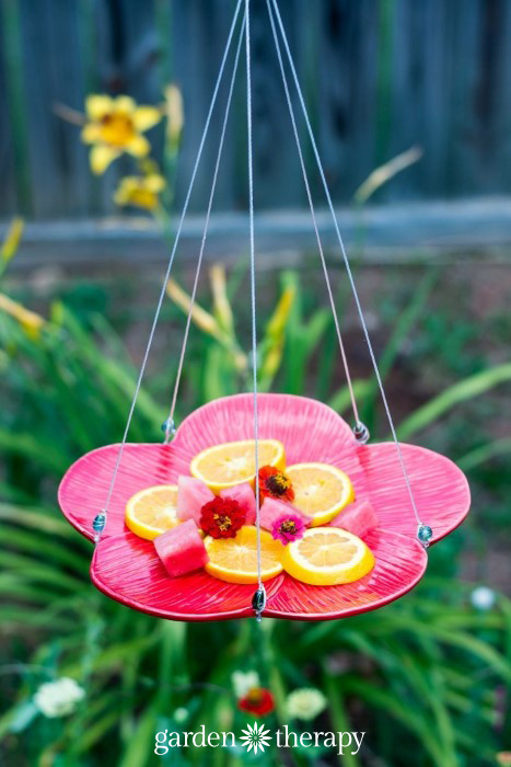 Make This DIY Beaded Butterfly Feeder with Simple Instructions