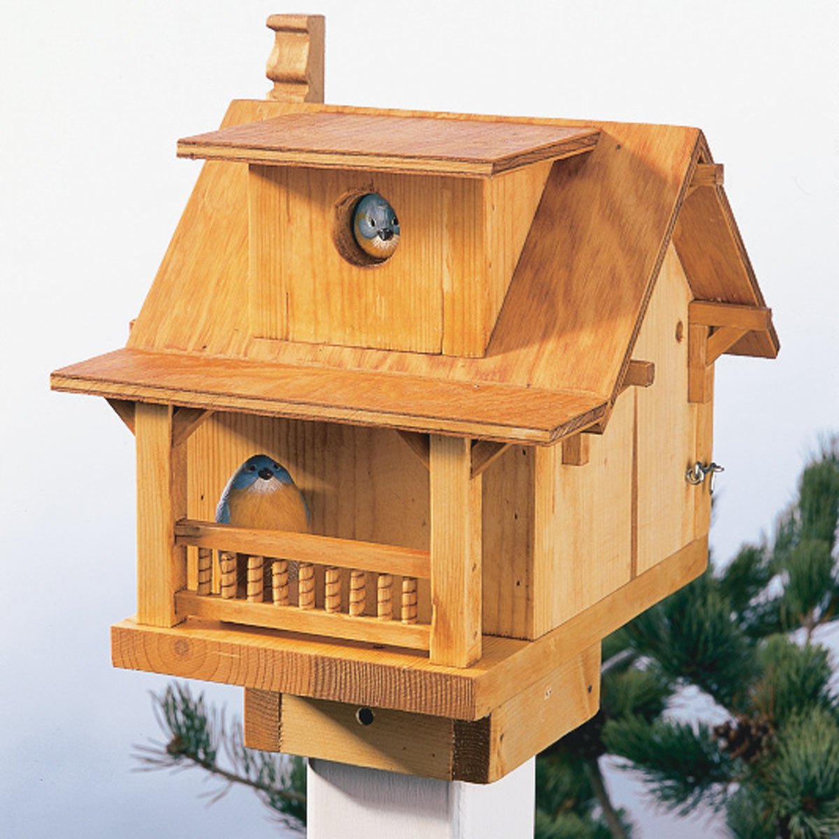 Build a Backyard Birdhouse