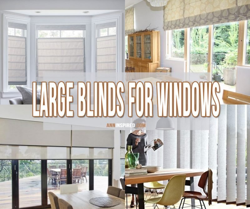 Large Blinds for Windows Ann Inspired