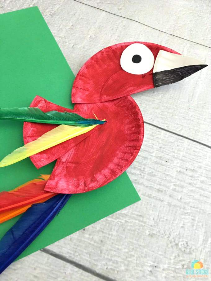 Colorful Parrot Paper Plate Craft for Kids