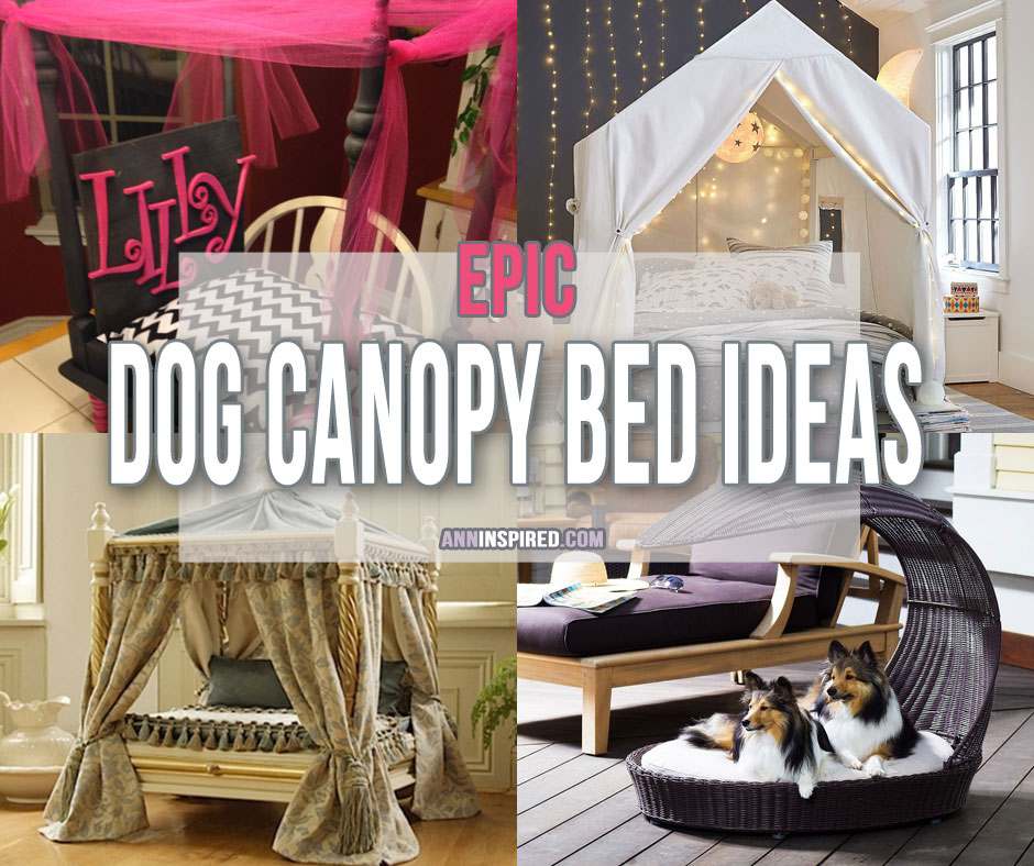 Best Dog Bed Canopy Ideas