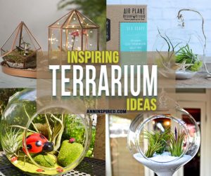 Inspiring Terrarium Ideas You Can Make Today