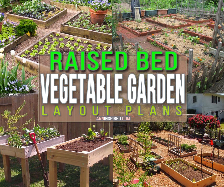 Raised Bed Vegetable Garden Layout Plans