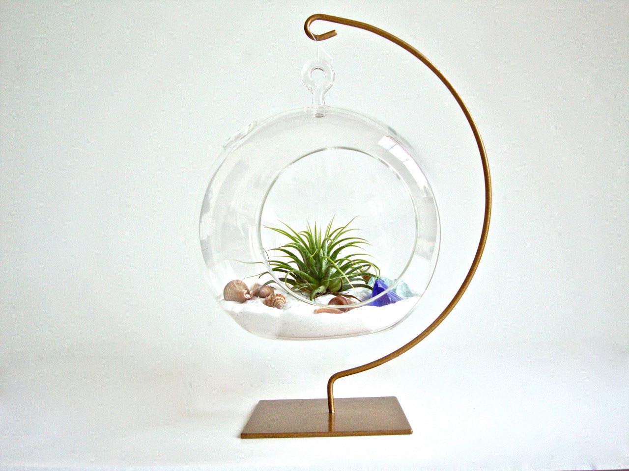 Air Plant Terrarium Glass Hanging Ball