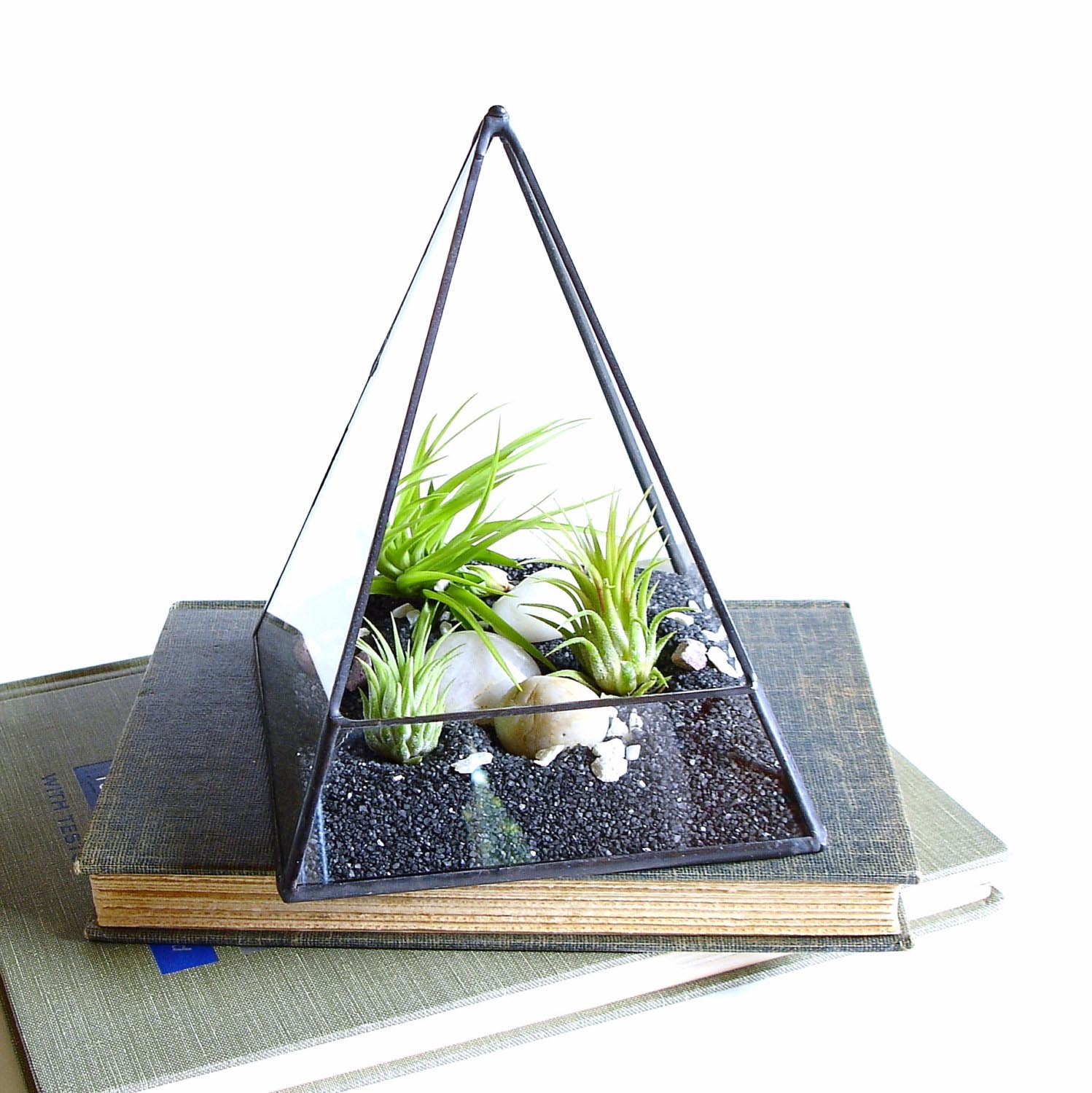 Glass Containers for-Terrariums