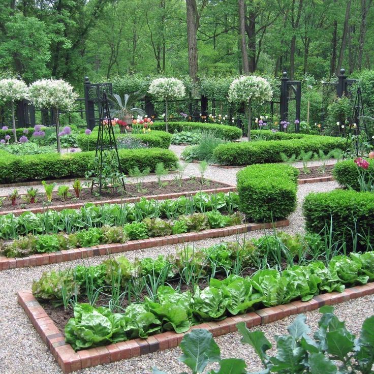 Planning a Large Vegetable Garden