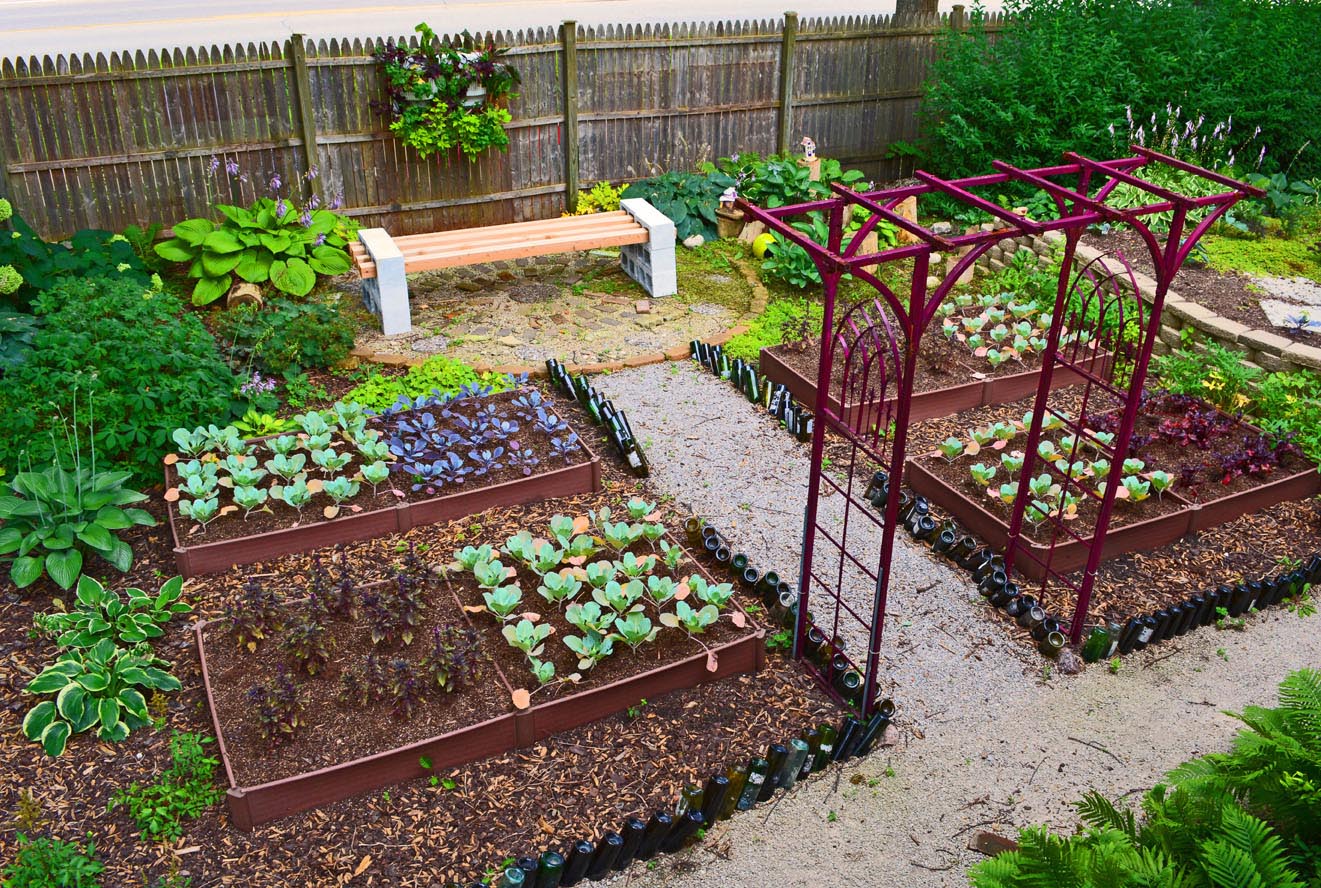 Planning a Small Vegetable Garden Layout