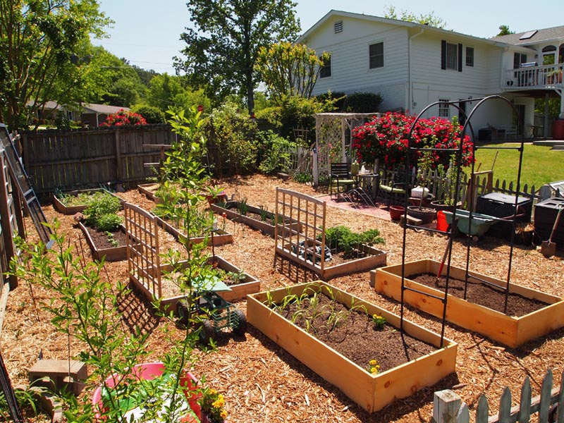 Plans for Vegetable Garden Layout