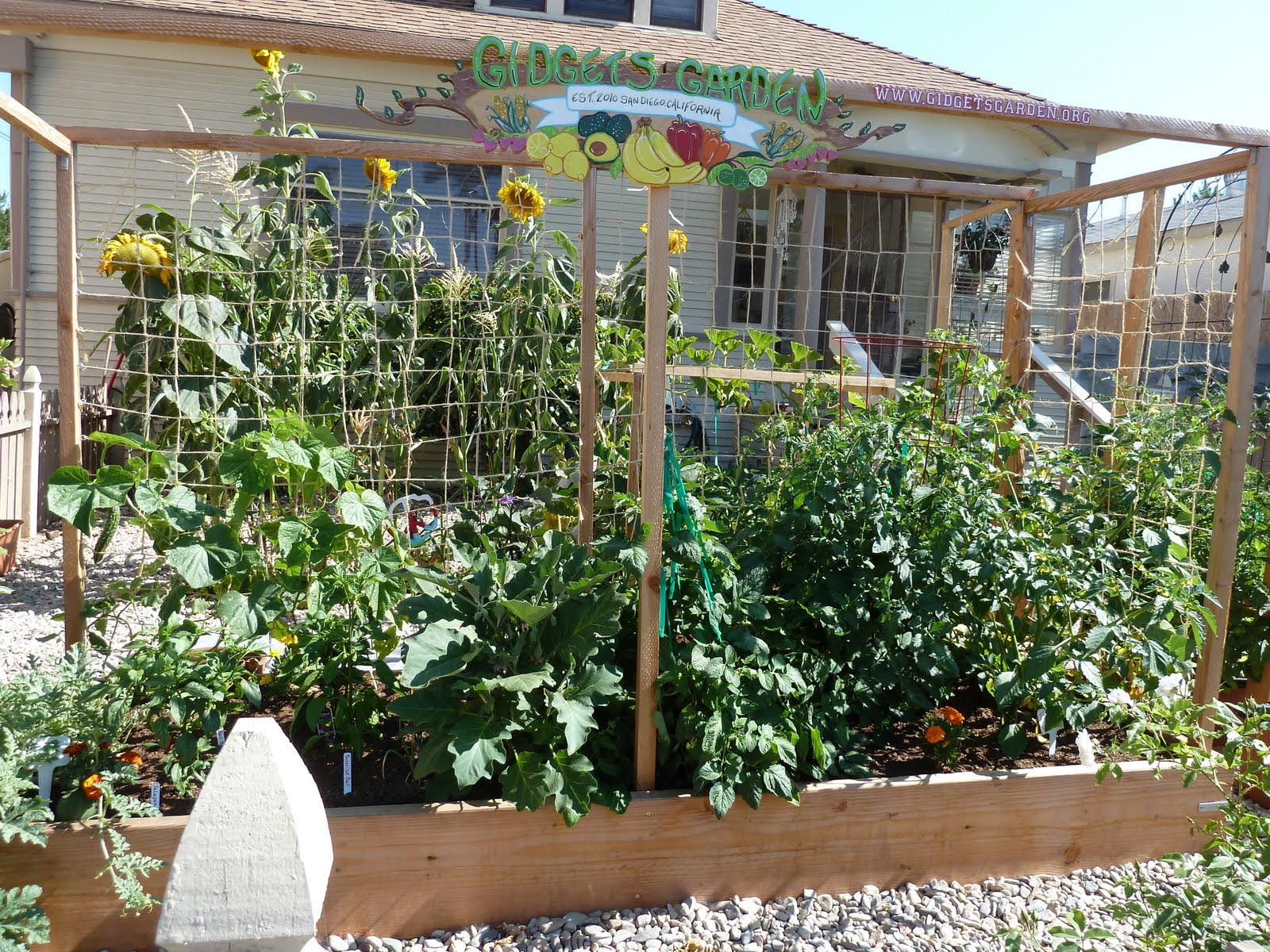 Small Space Vegetable Garden Ideas