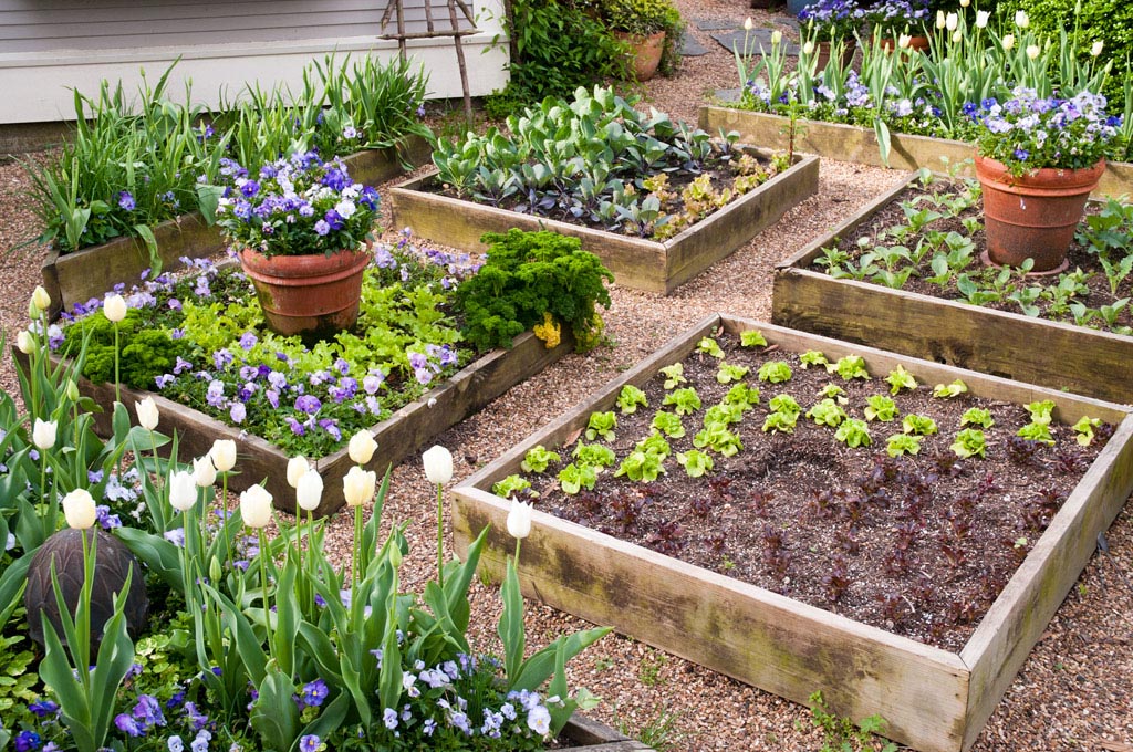 Vegetable Garden Plans Raised Beds