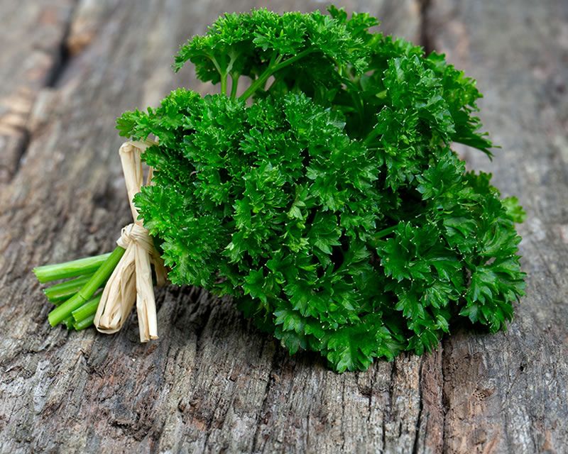 To Save Parsley In Frige