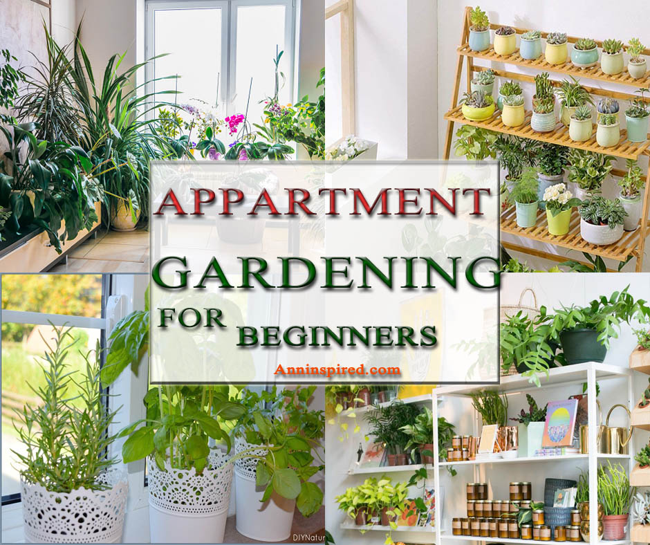 Apartment Gardening for Beginners 940x788