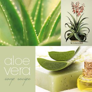 Aloe Vera Soap Recipe