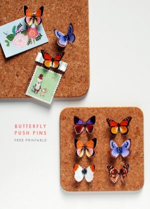 DIY Btterfly Push Pins Free Printable