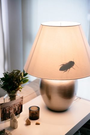 DIY Creepy Crawly Insect Lamp