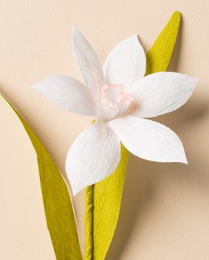 How to Make a Paper Flower Naricissus