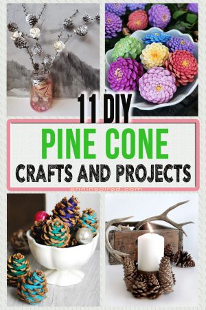 11 Awesome Pine Cone Crafts and Projects To DIY and Give Your Home a Festive Feel