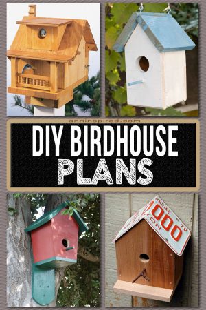 Simple and Ingenious DIY Bird House Plans that Will Attract Them to Your Garden