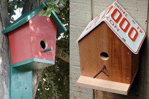 Free Birdhouse Plans You Can Build Right Now