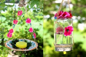 How to Make a Homemade Butterfly Feeder