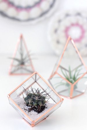 DIY Glass Terrariums