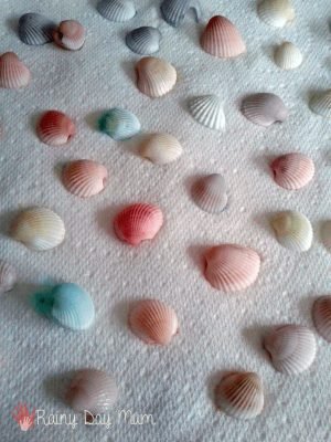 How to DYE Seashells with Colour Theory Science