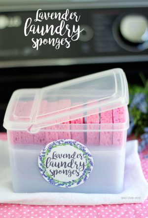 Organizing Lavender Laundry Sponges