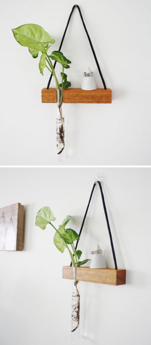 Small Shelves Hang on Wall Like Art