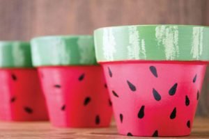Watermelon Pots DIY Project Perfect for Summer