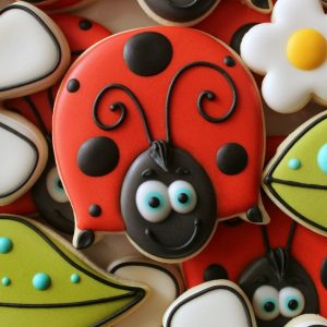 Cute Summer Ladybug Cookies