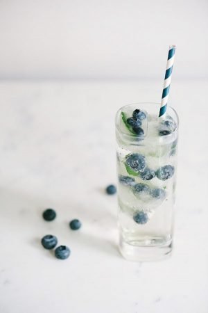 Fruit Ice Cubes Blueberry Mint Fizz