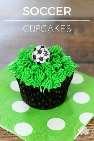 Soccer Cupcakes Birthday Party Favors