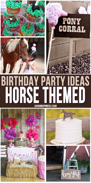 Horse Themed Birthday Party Ideas