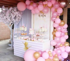 Ballerina Birthday Party Decorations