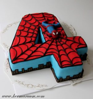 Spiderman Birthday Party Favors