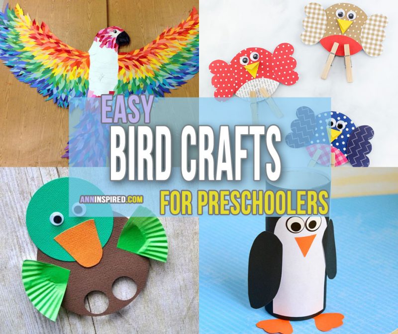 Easy Bird Crafts for Preschoolers and Toddlers | Ann Inspired