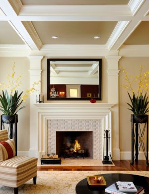 Modern Fireplace Surrounds Ideas