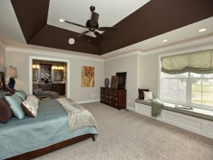 Sloped Tray Ceiling Paint Ideas