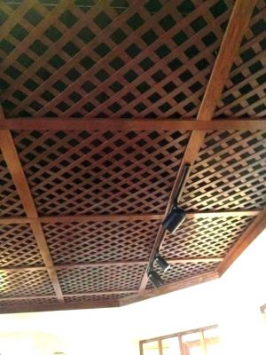 Wood Panel Drop Ceiling