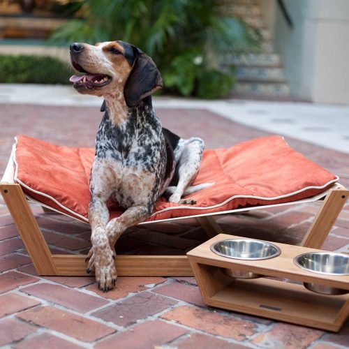 Brilliant Pet Hammock Bed Ideas Ann Inspired