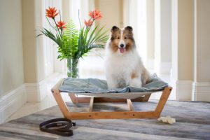 Large Pet Hammock Bed