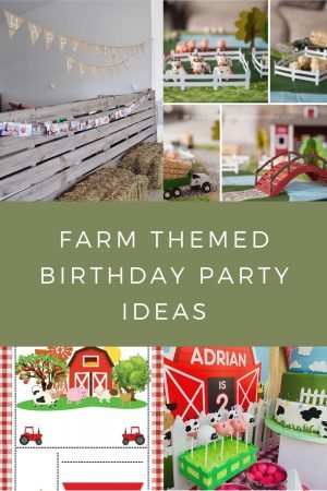 Coolest Farm Themed Birthday Party Ideas