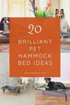 20 Brilliant Pet Hammock Bed Ideas