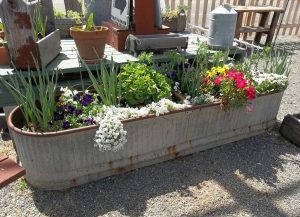 DIY Small Vegetable Garden