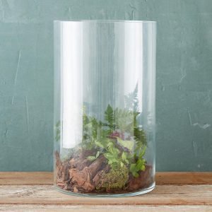 Glass Terrarium Bowls For Plants