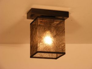 Light Covers for Ceiling Lights
