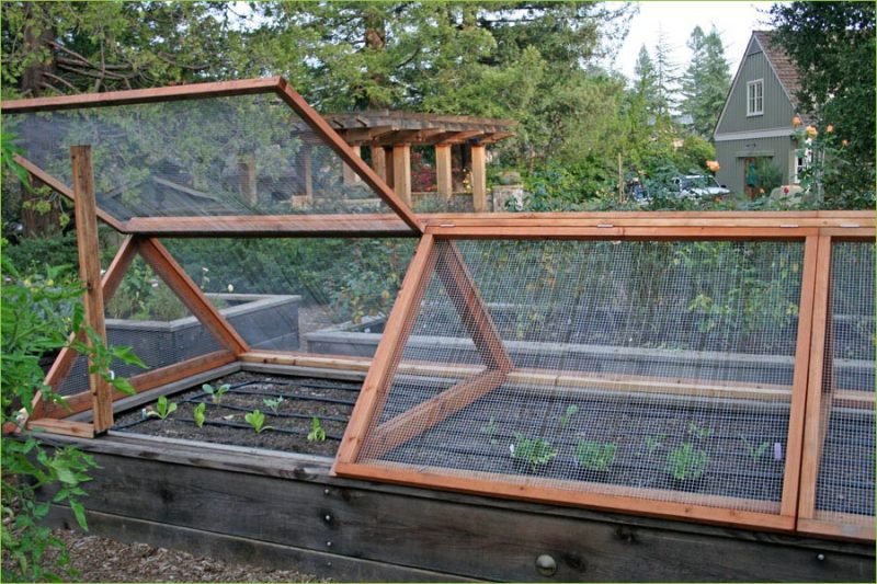 Plans For A Raised Vegetable Bed