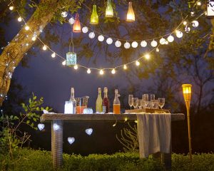 Strings of Outdoor Party Lights