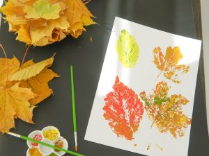 Make Leaf Prints Fall Color Autumn