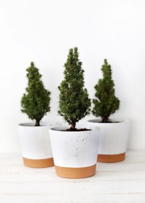 Small Pot Christmas Tree